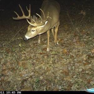 Meet your Posher, Chad